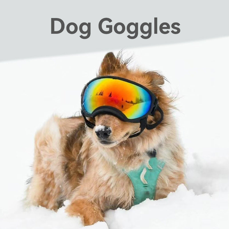 Pet Sunglasses Dog Goggles